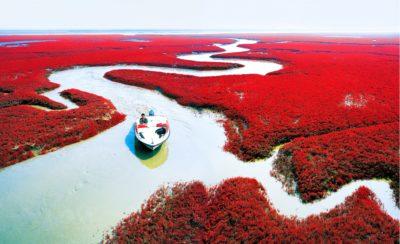Natural “Miracles” Around the World to Add to Your Bucket List Natural “Miracles” Around the World to Add to Your Bucket List
