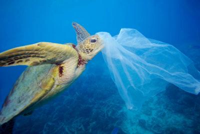 6 Reasons Why You Should Switch from Using Plastic Bags to Cloth Bags 6 Reasons Why You Should Switch from Using Plastic Bags to Cloth Bags